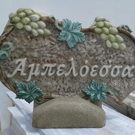 Ampeloessa Διαμέρισμα Μέση Εξωτερικό φωτογραφία