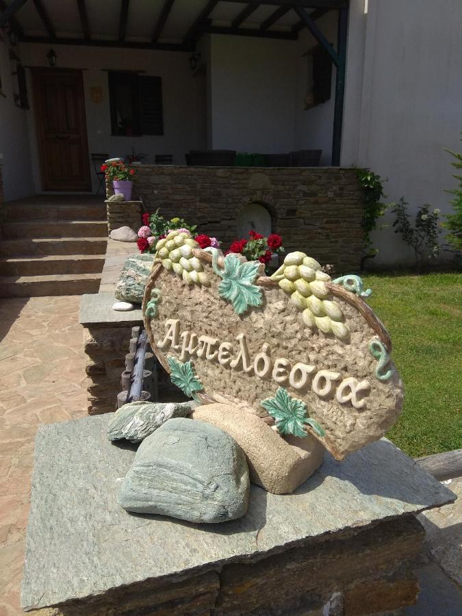 Ampeloessa Διαμέρισμα Μέση Εξωτερικό φωτογραφία